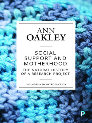 cover image of Social Support and Motherhood